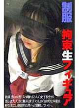 FE-336 DVD封面图片 