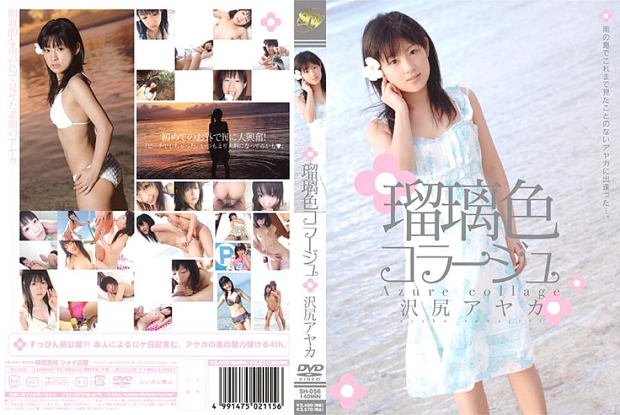 SH-056 DVDカバー画像