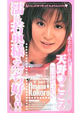 KR-9168 DVD封面图片 