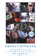 KS-8676 DVD封面图片 