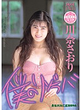 PDV-137 DVD Cover