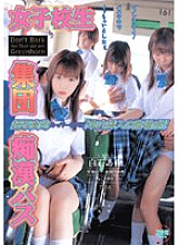 ID-12080 DVDカバー画像