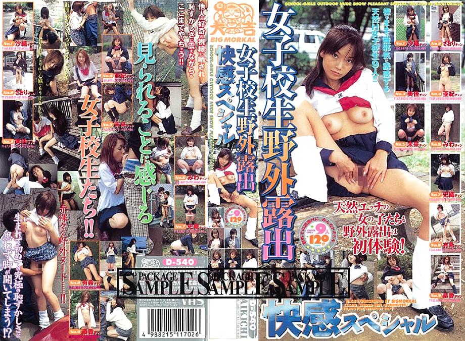 D-540 DVD封面图片 