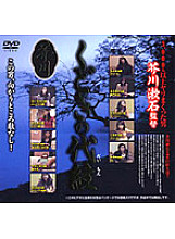 HET-302 DVD封面图片 