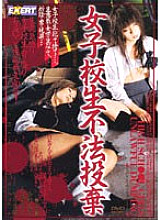 RMD-271 Sampul DVD