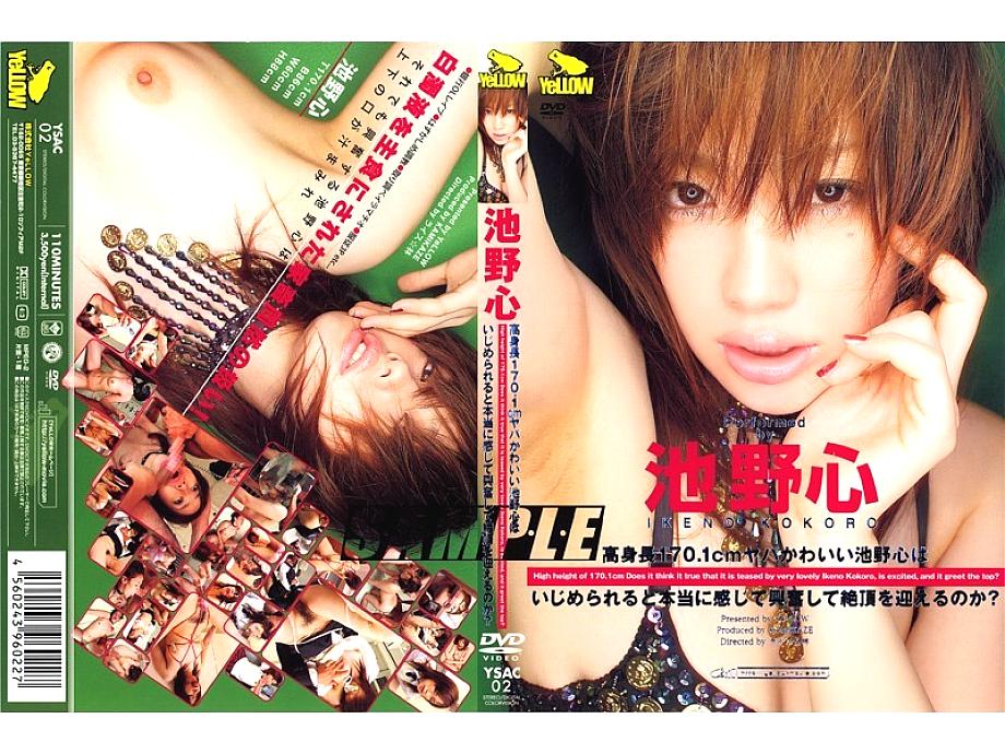 YSAC-02 DVD Cover