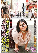 PSI-316 DVD封面图片 