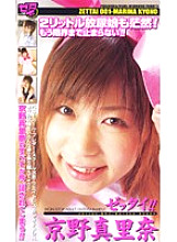 VIP-230 DVD封面图片 