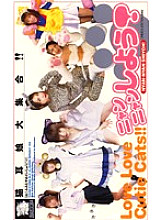 BR-12 DVD封面图片 