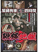 AXDVD-0205R DVD封面图片 