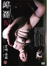 ADVO-090 Sampul DVD