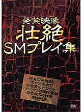 AEIL-204 DVDカバー画像