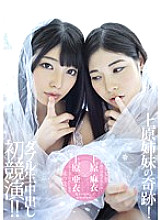 ALD-809 Sampul DVD