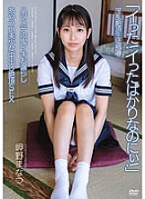 APAK-246 Sampul DVD