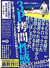 ARM-961 DVD Cover