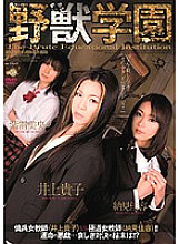 AZSD-019 DVD Cover