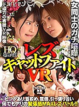 BBVR-013 DVD Cover