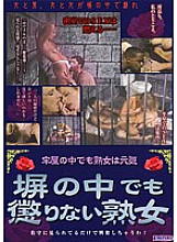 CBT-029 DVDカバー画像