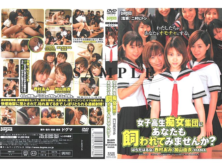 CNH-004 DVDカバー画像
