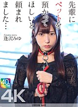 CRNX-271 DVDカバー画像