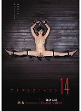 DASD-362 Sampul DVD