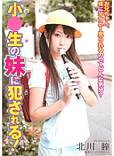 DDB-172 DVD Cover