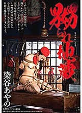 DDK-159 DVD封面图片 
