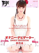 DDT-441 DVD Cover
