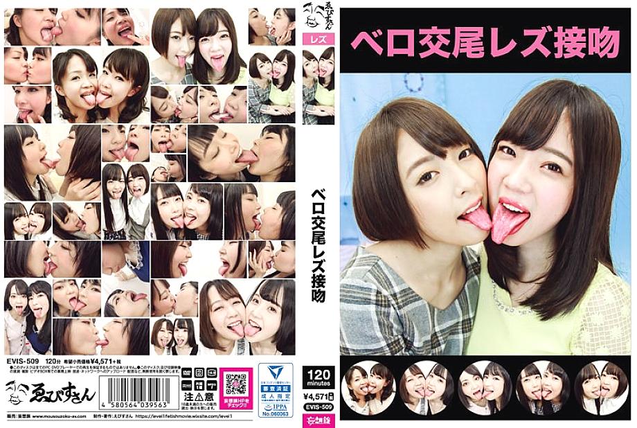EVIS-509 DVDカバー画像