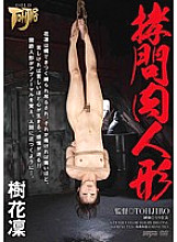 GTJ-028 DVD封面图片 