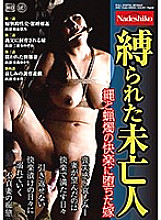 NASH-251 DVD Cover
