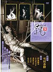 YINK-001 DVDカバー画像