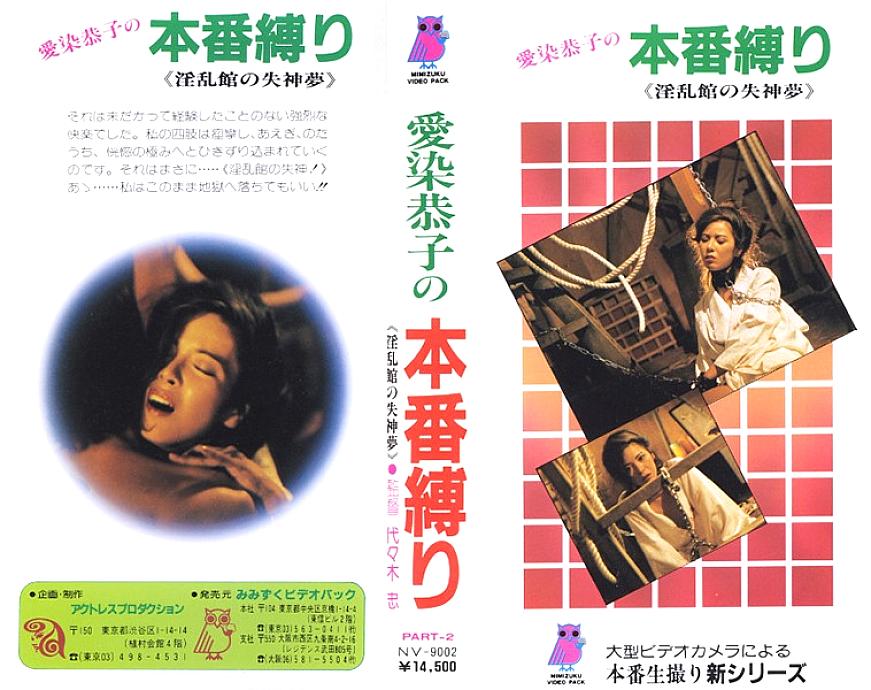 NV-09002 DVDカバー画像