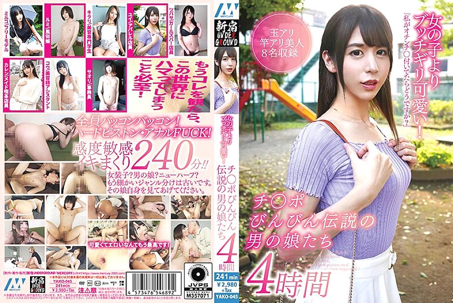 YAKO-045 DVDカバー画像