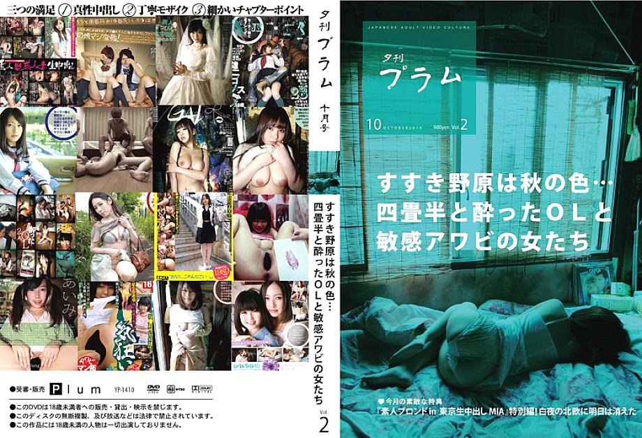 YP-1410 Sampul DVD
