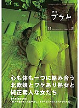 YP-1411 DVD封面图片 