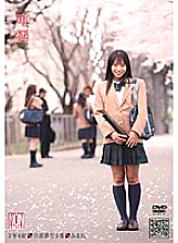 YSN-083 DVD Cover