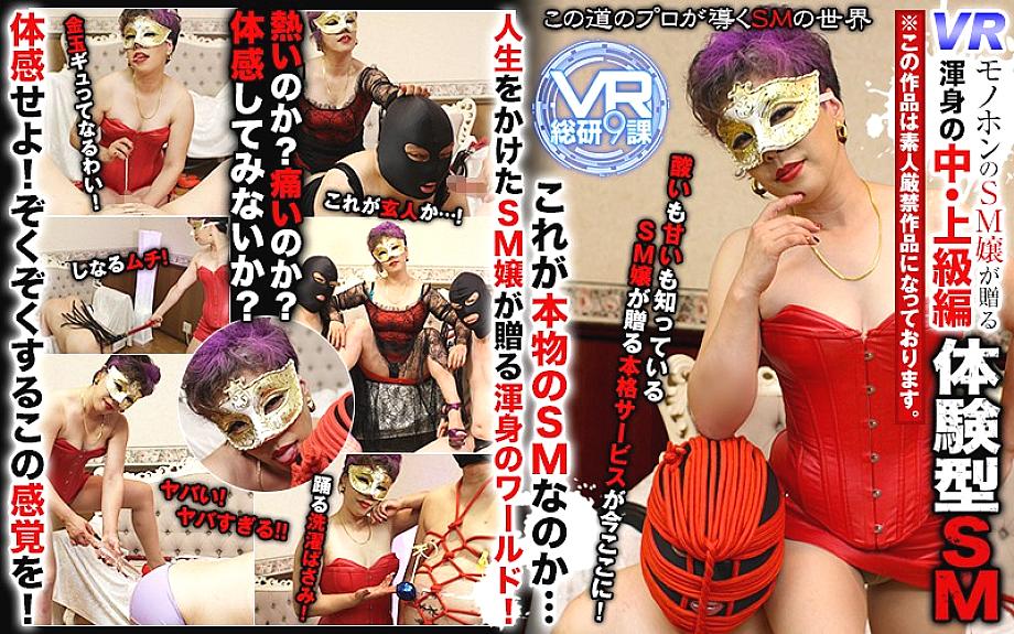 WVR-90013 Sampul DVD