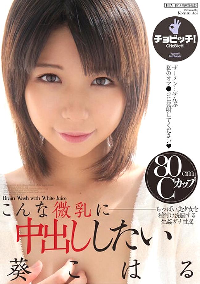 BTH-202 Sampul DVD