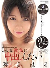 BTH-202 Sampul DVD