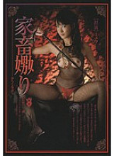 KGAI-12 Sampul DVD