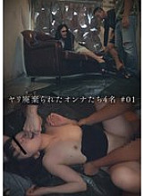 DG-401 Sampul DVD