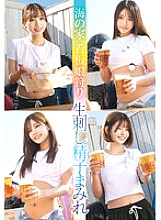 STSK-184 DVD Cover