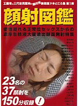 ZUKAN-01 DVD封面图片 
