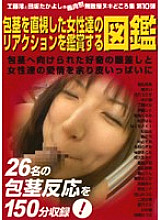 ZUKAN-10 DVD封面图片 