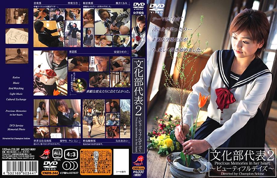 VNDS-344 DVD Cover
