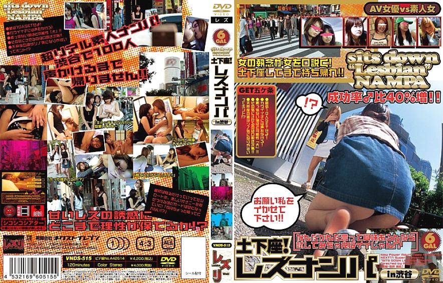 VNDS-515 DVD封面图片 