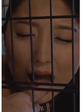 M-90300006 DVD封面图片 
