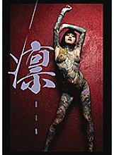 VGD-211 DVDカバー画像