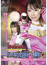 THP-037 DVD Cover